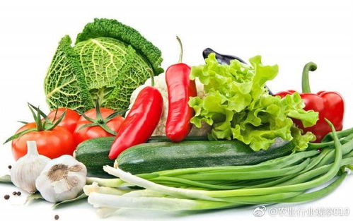 探究我國(guó)農(nóng)產(chǎn)品流通成本居高不下的多重原因