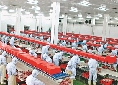 哈爾濱:規上農產品企業量效雙收，現代農業引擎動能強勁