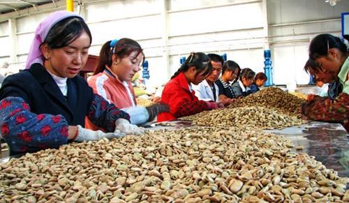 從城市返鄉創業新路徑 五種適合農村的農產品加工廠