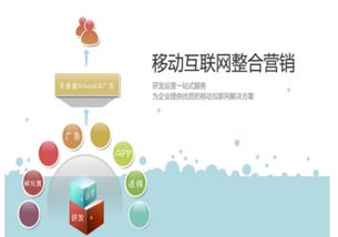 邵明宇的互聯(lián)網(wǎng)營(yíng)銷模式與銷售策略解析