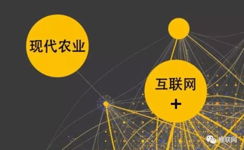 農(nóng)產(chǎn)品網(wǎng)絡(luò)銷售的困境與挑戰(zhàn)